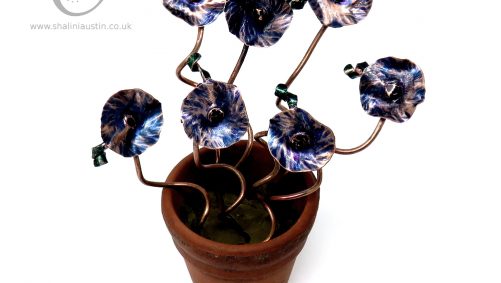 Blue Miniature Copper Flowers in a Pot